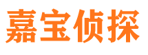 公安市侦探调查公司